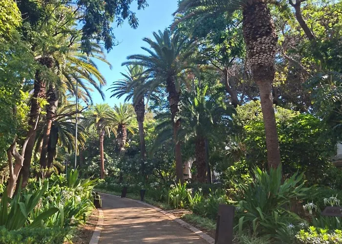 Castillo 17 Parking Incluido شقة سانتا كروز دي تينيريف