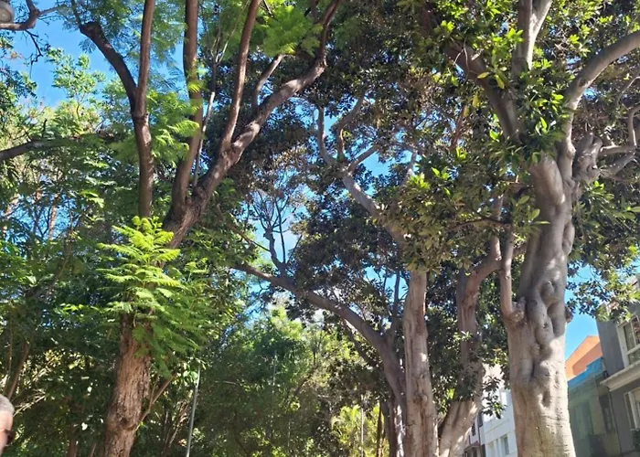 Castillo 17 Parking Incluido